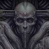 Scorn