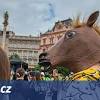 Majales Brno