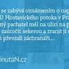 U Hostavického potoka