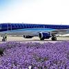 Azerbaijan Airlines
